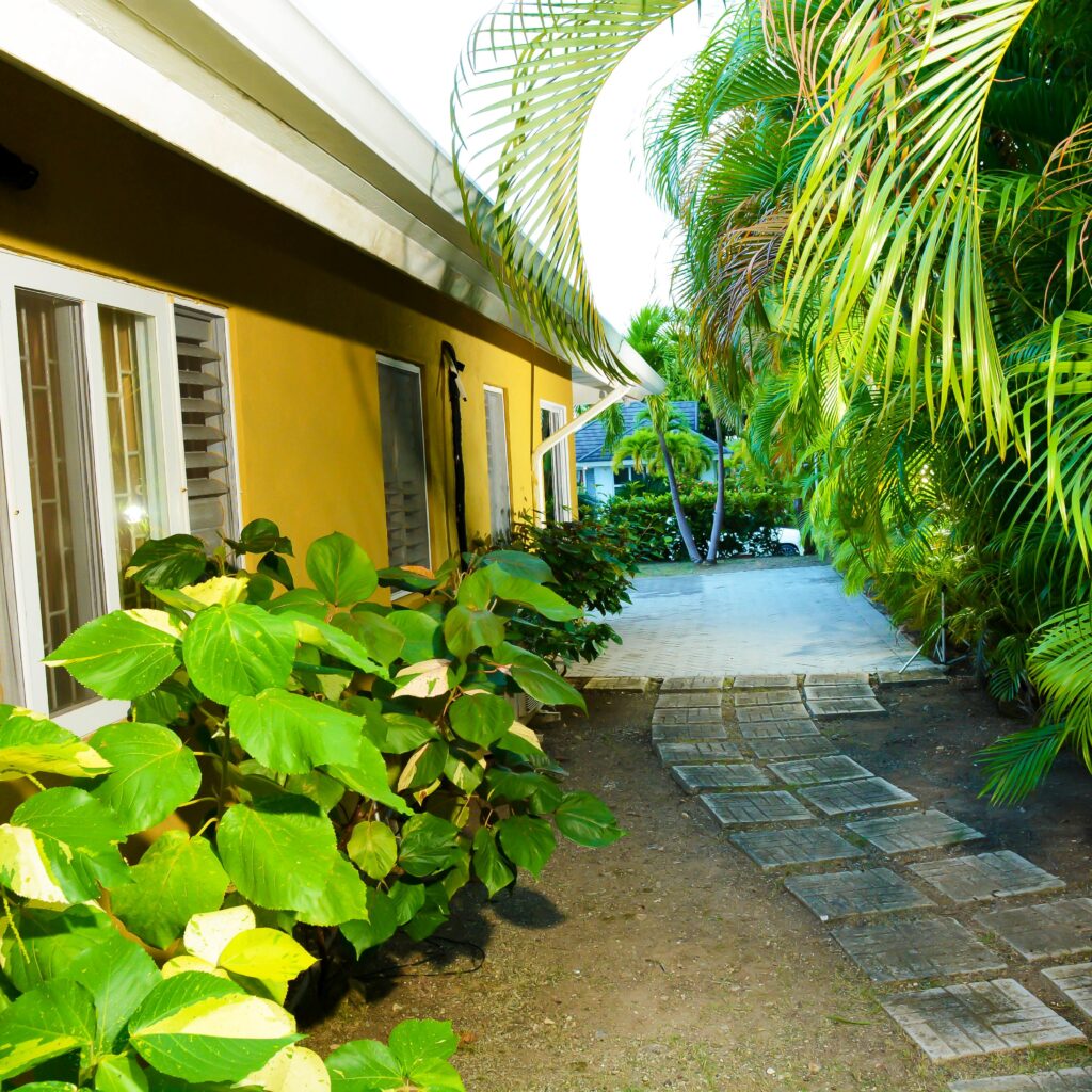 AirBnB Photoshoot L (22)