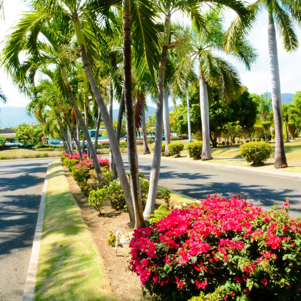 AirBnB Photoshoot L (98)